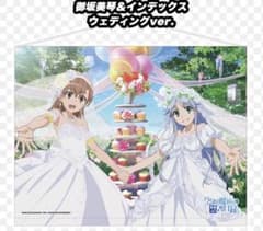 御坂美琴 & インデックス ウェディングタペストリー - メルカリ