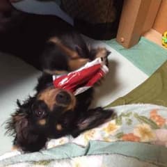 ティアラママ様 専用のサムネイル