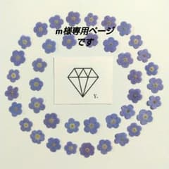 m様専用ページです 押し花 40枚のサムネイル