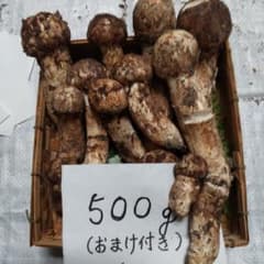 宮城県産朝採り松茸のサムネイル