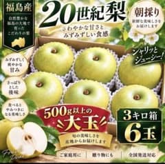 福島県産 20世紀梨 3kg箱 6玉 大玉 朝採り新鮮 - メルカリ