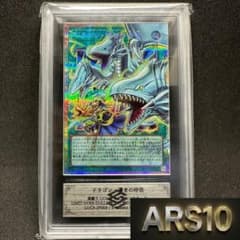 ドラゴン・導きの呼笛 ARS10【ワンオーナー品】日版のサムネイル
