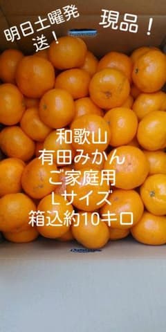 和歌山　有田みかん　ご家庭用　Lサイズ　箱込約10キロ(^^)のサムネイル