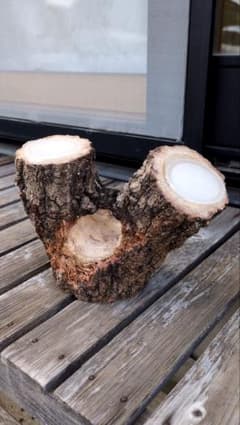 クワガタ隠れ家17のサムネイル