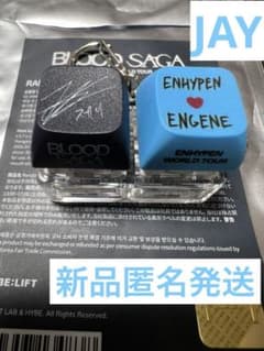ENHYPEN BLOOD SAGA キーホルダー　JAYのサムネイル