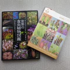 世界の食虫植物図鑑・ハンドブック 2冊セット - メルカリ