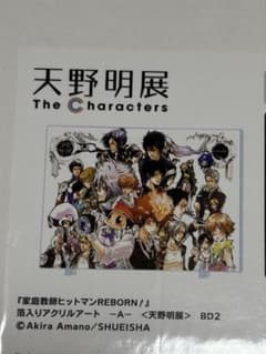 天野明展　家庭教師ヒットマンREBORN 箔入りアクリルアートAのサムネイル