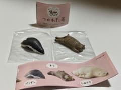ZooZooZoo つかれた寝 ペンギン、ネコのサムネイル