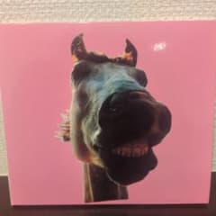 Doh! The Mustang / HIGH-LOWSのサムネイル