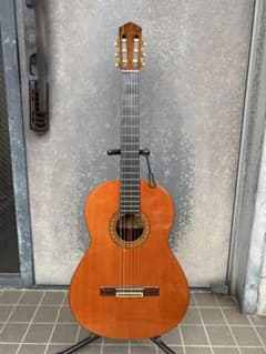 Discounted price: Yamaha GC-5, solid Brazilian rosewood top, figured neck.