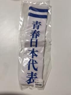新しい学校のリーダーズ　青春日本代表靴下（白）女子のサムネイル