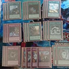 真竜 デッキ 遊戯王のサムネイル
