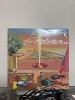 今週値下げSTUTS Pushin' アナログレコード - メルカリ