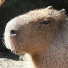 ゆーすけプロフ必読様 専用のサムネイル