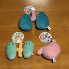 FANS にんげんのからだぬいぐるみ 3種セット - メルカリ