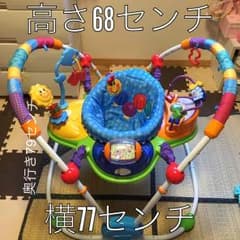 大値下げベビーアインシュタインのサムネイル