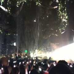 専用 二本のサムネイル