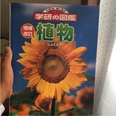 図鑑のサムネイル