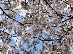 アルス様専用のサムネイル