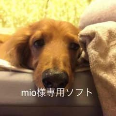 mio様専用ソフトのサムネイル