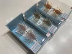 COIKE BUG BOMBER 3個セット ワーム - メルカリ