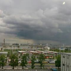 専用のサムネイル