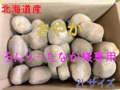 【ろんりーたなか】北海道産じゃがいも（さやか）　2Lサイズ40kg ろんりーたなか様専用】北海道産じゃがいも（さやか） 2Lサイズ40kg