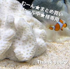 【専用】セザンヌ ラスティンググロスリップのサムネイル