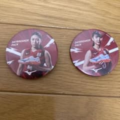 女子バレーボール 日本代表 石川真佑 関奈々巳 缶バッジ2つセット