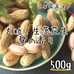 大粒！！生落花生/愛の香り/希少/レアピーナッツ/鲜花生/茨城県産/約500g入のサムネイル