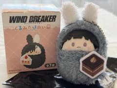 WIND BREAKER 쿠루미타피누이 애프터눈 티 가오히데히라 윈브레