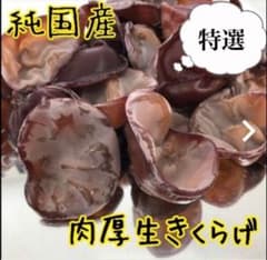 갓 얻은 농가 직송 특선 살기 1kg