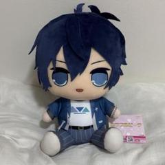 ⑨ カラフルピーチ カラピチ おおきなBIGぬいぐるみ なおきり③