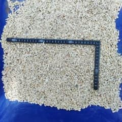 水槽用 サンゴ砂のサムネイル