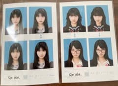 seju 証明写真vol.2 向井怜衣　2枚セットのサムネイル