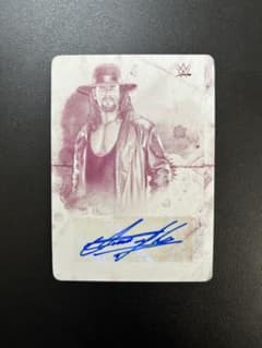 m33069780244_1.jpg?1730703240