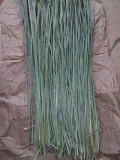 真菰葉乾燥長いまま1.3キロ 真菰葉乾燥長いまま1.3キロ - メルカリ