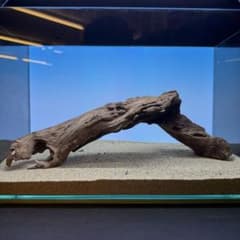 MRW-7655 自立赤系天然流木 アーチ流木 アクアリウム - メルカリ