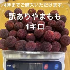 訳ありやまもも1キロのサムネイル