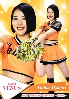 BBM 2023 チアリーダー華 未開封ボックス ⚾ BBM プロ野球チアリーダーカード2023 DANCING HEROINE -華-【製品