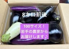 ナス　100サイズ　規格外のサムネイル