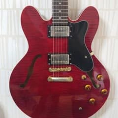 Epiphone Limited Edition Dot Deluxeのサムネイル