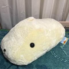 カピバラさん（ホワイトさん）ぬいぐるみのサムネイル