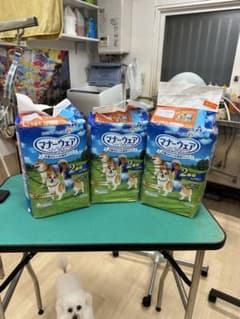 ペット　マナーウェア 男の子用のサムネイル
