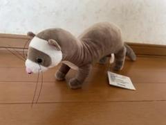 FANS フェレット　ぬいぐるみ　BIG