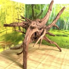 天然水槽用流木 イケメン表情いろいろの大サイズブランチウッド 煮沸