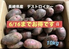 10kg》長崎県産 デストロイヤー（グラウンドペチカ） 新じゃがいも