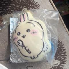 ゆ*ん様 ちいかわ クッションマスコット うさぎのサムネイル