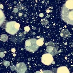 専用のサムネイル