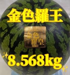 683匿名発送！千葉県産　金色羅皇スイカ　高糖度　8.568kg１玉のサムネイル